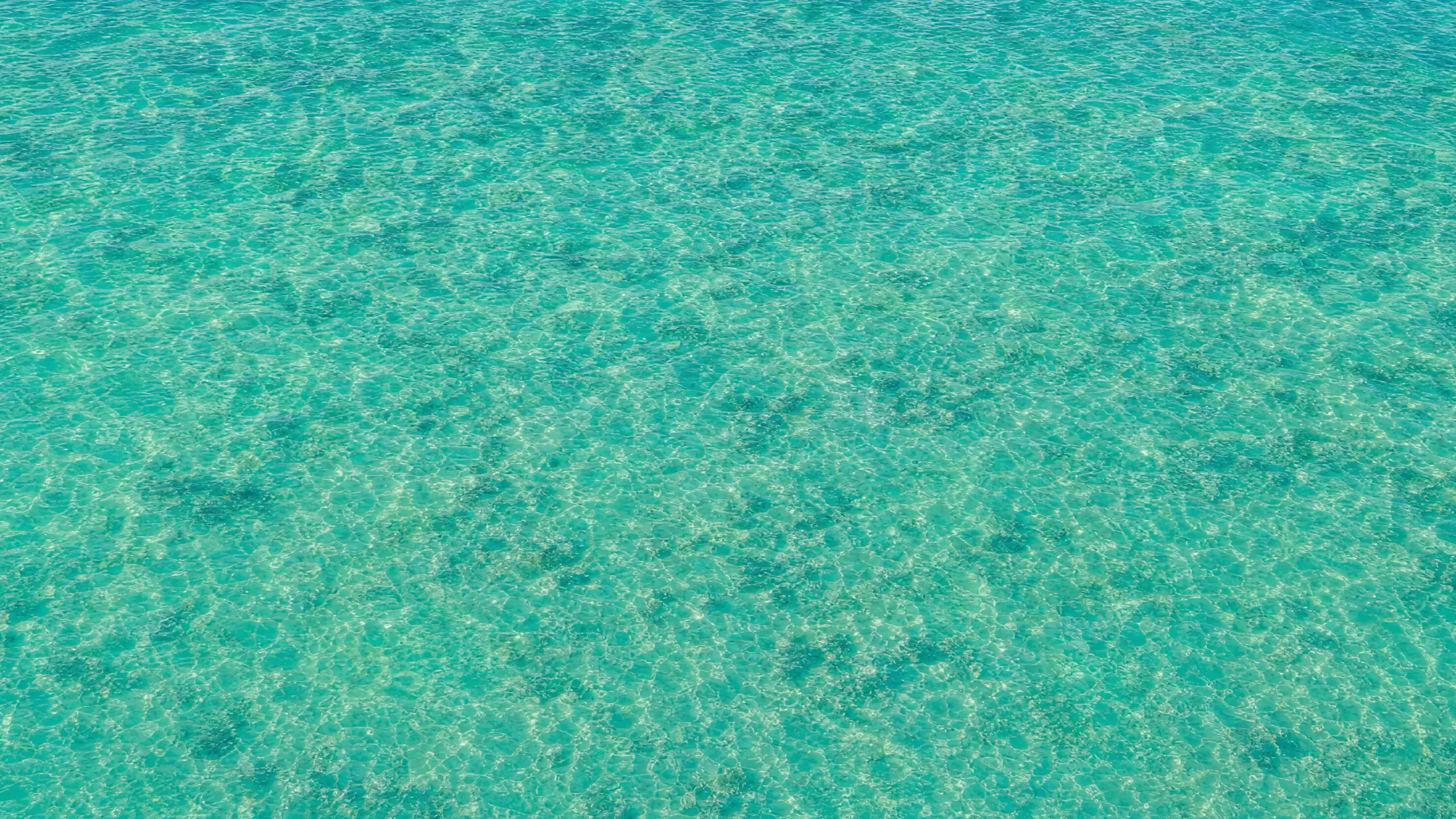 Our own render of flat turquoise shallows filling the whole frame from above, an even ripple across it and nothing else in the picture.
